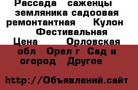 Рассада ( саженцы ) земляника садоовая ремонтантная , “ Кулон “ , “ Фестивальная › Цена ­ 50 - Орловская обл., Орел г. Сад и огород » Другое   